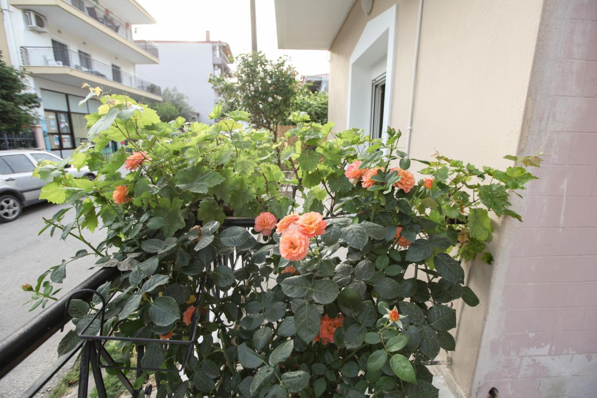 Apartament Meteora Family Dream Kalambaka Zewnętrze zdjęcie